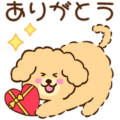 [LINEスタンプ] 気持ちを伝えるトイプードル