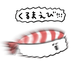 [LINEスタンプ] シンプル 車海老寿司 日常会話