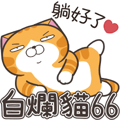 [LINEスタンプ] ランラン猫 66 (台湾版)