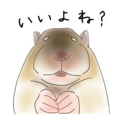 [LINEスタンプ] hemhemjpのどうぶつ絵ん7