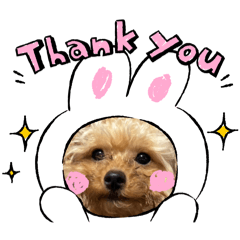 [LINEスタンプ] SHELLY☆OTO☆PAPI☆CHIMMY