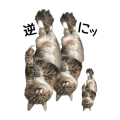 [LINEスタンプ] 皇子達三昧