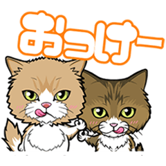[LINEスタンプ] えーすとむーすの猫スタンプ
