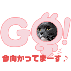 [LINEスタンプ] トム君チャンネル