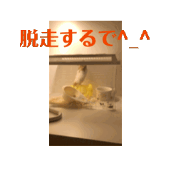 [LINEスタンプ] ハムスターのモグスタンプ