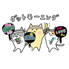 [LINEスタンプ] かわいい猫と女の子〜ほっこり日常〜