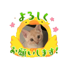 [LINEスタンプ] なーちゃま①