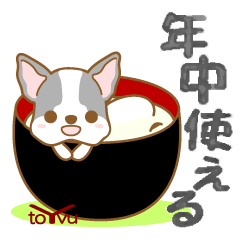 [LINEスタンプ] わんこ日和(ボストンテリア)①-toYvu-