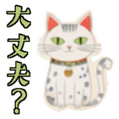 [LINEスタンプ] 癖つよニャンコスタンプ