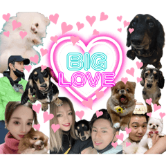 [LINEスタンプ] 使える愛犬日常スタンプぅぅう