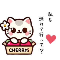 [LINEスタンプ] ちぇりーすたいる