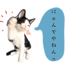 [LINEスタンプ] 子猫の源ヱ門2