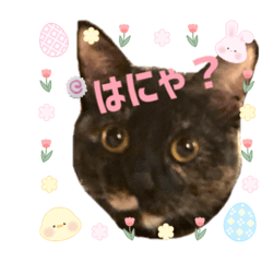 [LINEスタンプ] 猫のおはぎちゃん♪