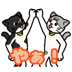 [LINEスタンプ] 姉妹の猫スタンプ