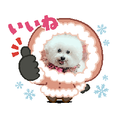 [LINEスタンプ] ふわふわAnnie♪