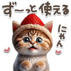 [LINEスタンプ] ねこちぃずneo♡挨拶とリアクション♡