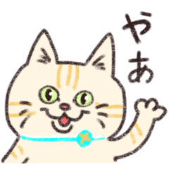 [LINEスタンプ] こめこの猫スタンプ