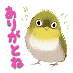 [LINEスタンプ] 日使える鳥スタンプ - メジロ