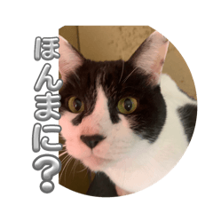 [LINEスタンプ] らぶちゃんスタンプ2☆