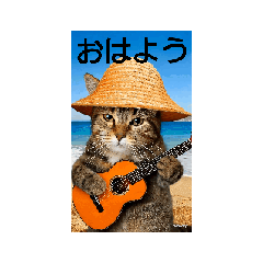 [LINEスタンプ] ギターねこちゃんの画像（メイン）