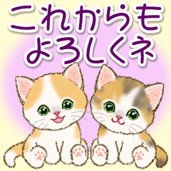 [LINEスタンプ] 気持ち伝える にゃんにゃんズ