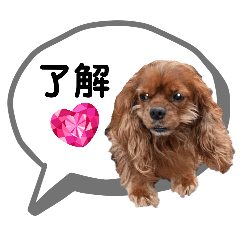 [LINEスタンプ] ぐらの日常使えるスタンプ