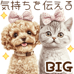 [LINEスタンプ] 気持ちを伝えるトイプードルと猫