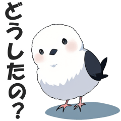 [LINEスタンプ] 毎日使える！シマエナガのスタンプ