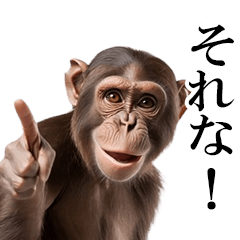 [LINEスタンプ] 動く！リアル猿