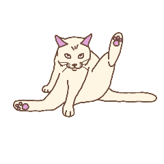 [LINEスタンプ] [アレンジ用]猫の表現力 白猫1