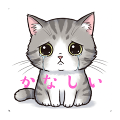 [LINEスタンプ] なみだ猫 ver1.2