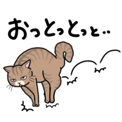 [LINEスタンプ] どこでもいそうな猫たち