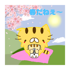 [LINEスタンプ] 薄毛猫のコモンくん〜春編
