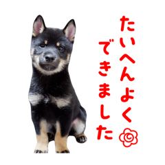 [LINEスタンプ] ちくわくんの敬語スタンプ