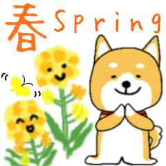 [LINEスタンプ] 春の日常＊しばいぬくんの毎日