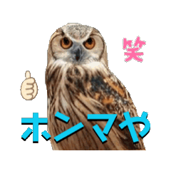 [LINEスタンプ] フクロウおっさん