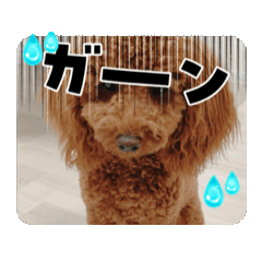 [LINEスタンプ] レナキヨ