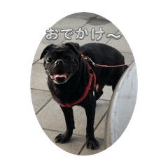 [LINEスタンプ] じゃすたんぷ(静止)