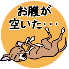 [LINEスタンプ] 家族と使いやすいイタグレ達のスタンプ