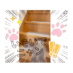 [LINEスタンプ] フィガロ＆チロルの動くスタンプ