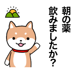 [LINEスタンプ] お薬飲んだ？ 芝犬さん 日常介護スタンプ