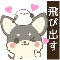 [LINEスタンプ] 飛び出す♡ねことシマエナガとわんこ