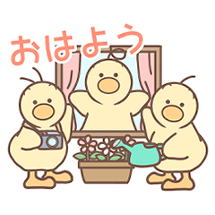 [LINEスタンプ] ひよこの3兄弟 3