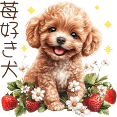 [LINEスタンプ] いちご大好き♡トイプードル