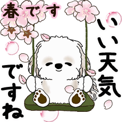 [LINEスタンプ] 動くシーズー犬 2025 「春」2