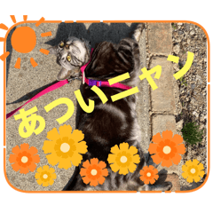 [LINEスタンプ] フィガロ＆チロル 2