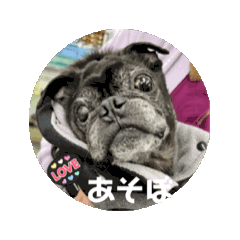 [LINEスタンプ] 動くじゃすたんぷ