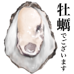 [LINEスタンプ] 【敬語】 牡蠣 大粒