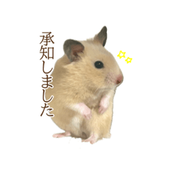 [LINEスタンプ] キンクマのミスジ