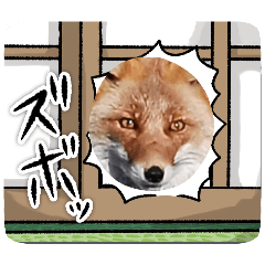 [LINEスタンプ] 北海道道東スタンプ